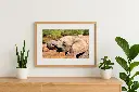 mock-up IMG_9491.webp