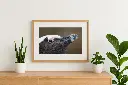 mock-up IMG_8878.webp
