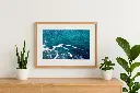 mock-up IMG_1347.webp
