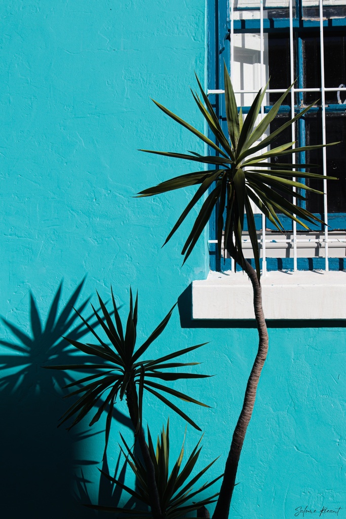 Bo-Kaap