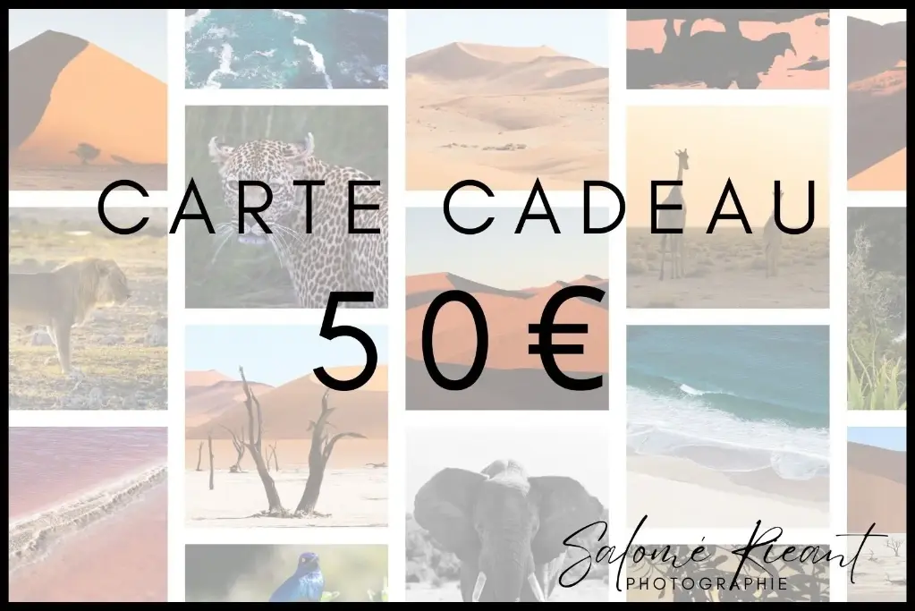 Carte cadeau