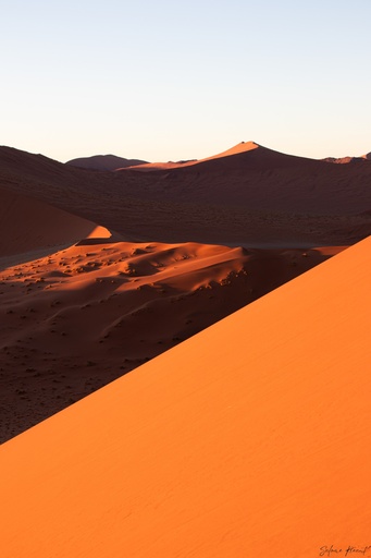 Dunes ambrées