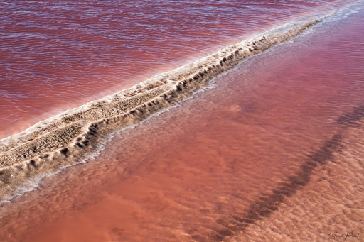 Lac rose