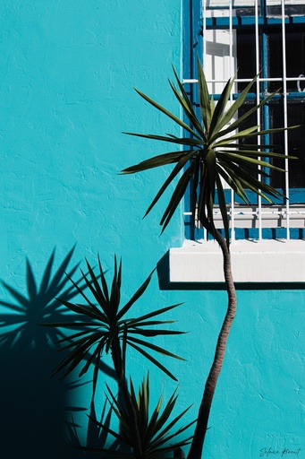 Bo-Kaap