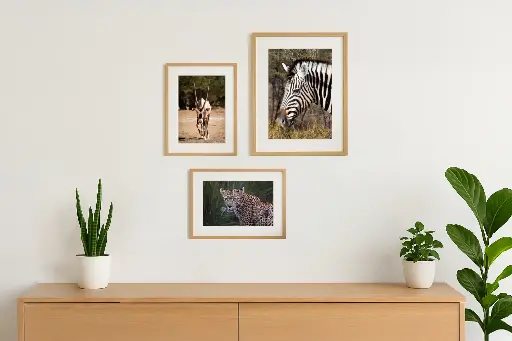 Trio Portraits